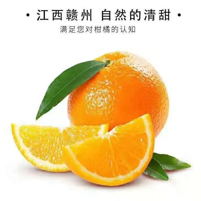 赣南脐橙大量上市 一件代发 批发零售 现摘现发