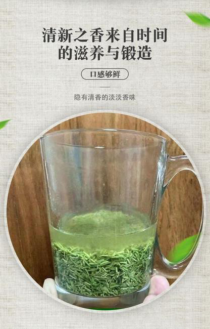 毛尖茶 新茶嫩芽信阳毛尖头采碎茶断芽茶叶浓香口粮茶