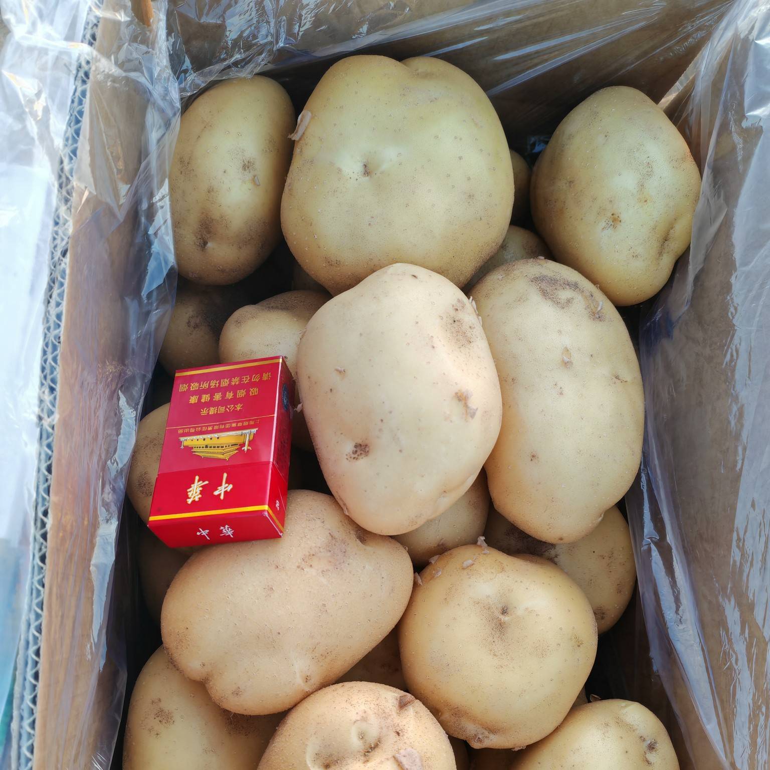 土豆大量上市,产地直发,品种齐全,承接电商,市场,入库商 土豆大量上市,产地直发,品种齐全,承接电商,市场,入库商